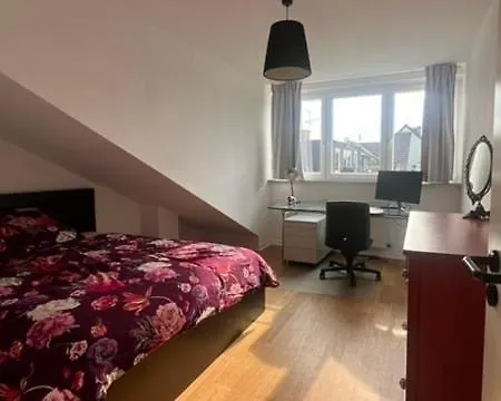 Gemuetliche Dachwohnung Mit Kleinem Domblick Apartman